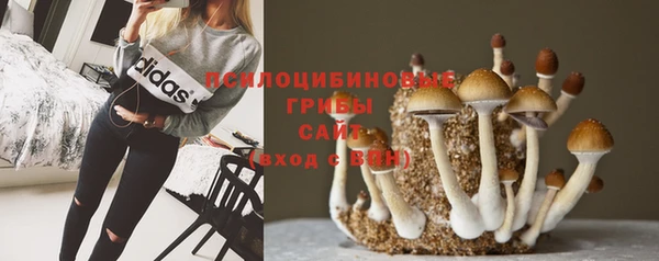 шишки Верхнеуральск