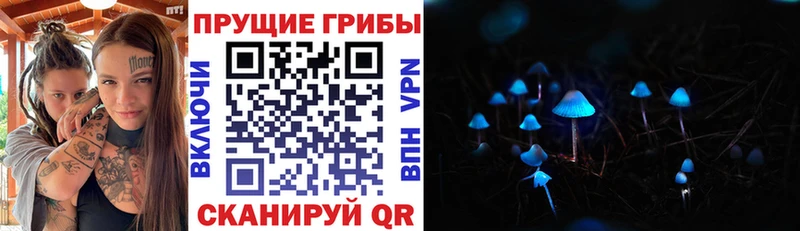 Купить закладки  Учалы  Псилоцибиновые грибы мухоморы 